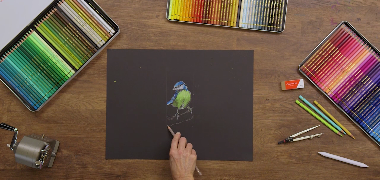 Artist drawing a colourful bird on black paper using Caran d’Ache Pablo coloured pencils from a 120 colour set