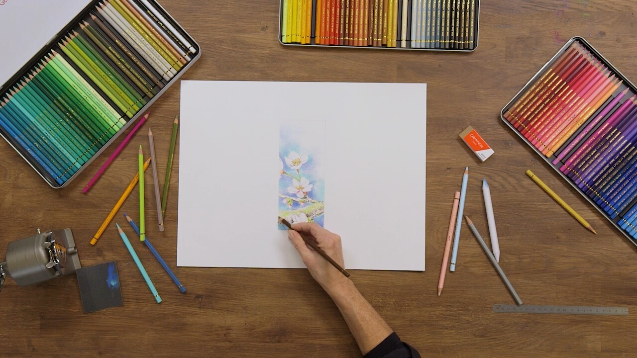 Delicate floral illustration on white paper surrounded by Caran d’Ache Pablo coloured pencils arranged by colour family