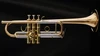 Schagerl Academica TR-620CL C Trumpet in Lacquer