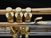 Schagerl Academica TR-620CL C Trumpet in Lacquer