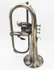 ACB Doubler's Flugelhorn: Our #1 Selling Product at ACB!