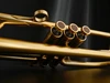 Adams A4-LT Selected Series trumpet finger buttons