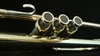 Adams A6 Selected Series Trumpet in Polished Lacquer!