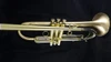 Adams CN2 Selected Series Cornet in Silver Plate!