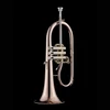 Schagerl James Morrison Flugelhorn: Build Your Own!