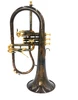 Schagerl James Morrison Flugelhorn: Build Your Own!