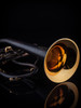 Schagerl Dione Flugelhorn: Build Your Own!