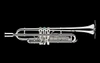 Schagerl Penelope Meister Series Trumpet: Build Your Own!