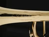 Schagerl James Morrison Meister Series Trumpet: Build Your Own!