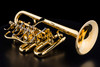 Schagerl Berlin Model Piccolo Trumpet: Build Your Own!