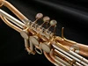 Schagerl Ganschhorn Trumpet: Build Your Own!