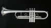 JP By Taylor Trumpet