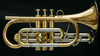 Schagerl Hans Gansch Bb Cornet: fantastic cornet from Schagerl! 