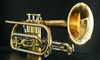 Schagerl Hans Gansch Bb Cornet: fantastic cornet from Schagerl! 