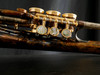 Schagerl Killer Queen Flugelhorn in Vintage Lacquer with Gold Accents!