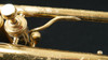 1916 Holton Revelation Cornet in Lacquer!