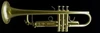 ACB Model 2RL Pro Trumpet in Brushed Satin Lacquer!