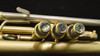 ACB Model 2RL Pro Trumpet in Brushed Satin Lacquer!