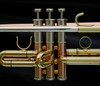 Getzen 900DLX Eterna Deluxe Model Bb Trumpet with copper bell!