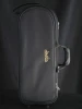 ACB Slimline Single Trumpet Case!