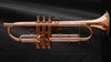 Custom Adams A1v2 Trumpet: Build your Own