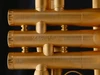 Böhme Sturm & Drang Trumpet: Build Your Own!