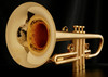 Trade show demo  Adams A4 Trumpet in Brushed Gold Plate with Polished Accents!