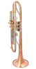 Brand New AR Resonance Feroce Trumpet!  A  True work of art!