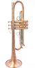 Brand New AR Resonance Feroce Trumpet!  A  True work of art!