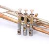 Brand New AR Resonance Feroce Trumpet!  A  True work of art!