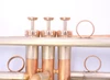 Brand New AR Resonance Feroce Trumpet!  A  True work of art!