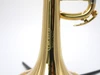 Amazing Adams Prologue Trumpet