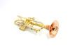 Taylor Piranha Trumpet