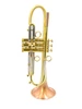 Taylor Piranha Trumpet