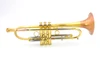 Taylor Piranha Trumpet