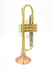 Taylor Piranha Trumpet