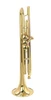 Andrea  Giuffredi   Commercial Model Trumpet by CarolBrass!  AMAZING!