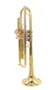 Andrea  Giuffredi   Commercial Model Trumpet by CarolBrass!  AMAZING!