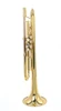 Andrea  Giuffredi   Commercial Model Trumpet by CarolBrass!  AMAZING!
