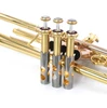 Andrea  Giuffredi   Commercial Model Trumpet by CarolBrass!  AMAZING!