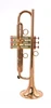 ACB by CarolBrass  TT  Trumpet: Magnificent quality and playability! 