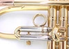 Taylor Tornado  Model handmade in the UK:  Incredible new offering