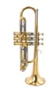 1947  Holton Model 25 cornet in Clear Lacquer