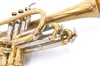1947  Holton Model 25 cornet in Clear Lacquer