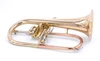 ACB B-Stock Blowouts: ACB Doubler's Flugelhorn