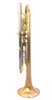 Incredible  Carolbrass CTR-6280H-GSS-Bb-SL Trumpet in Satin Lacquer