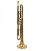 Vintage Conn 48A Vocabell Long Cornet:  a Chameleon!