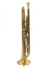 Vintage Conn 48A Vocabell Long Cornet:  a Chameleon!