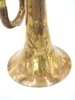 Vintage Conn 48A Vocabell Long Cornet:  a Chameleon!