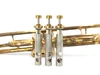 Vintage Conn 48A Vocabell Long Cornet:  a Chameleon!